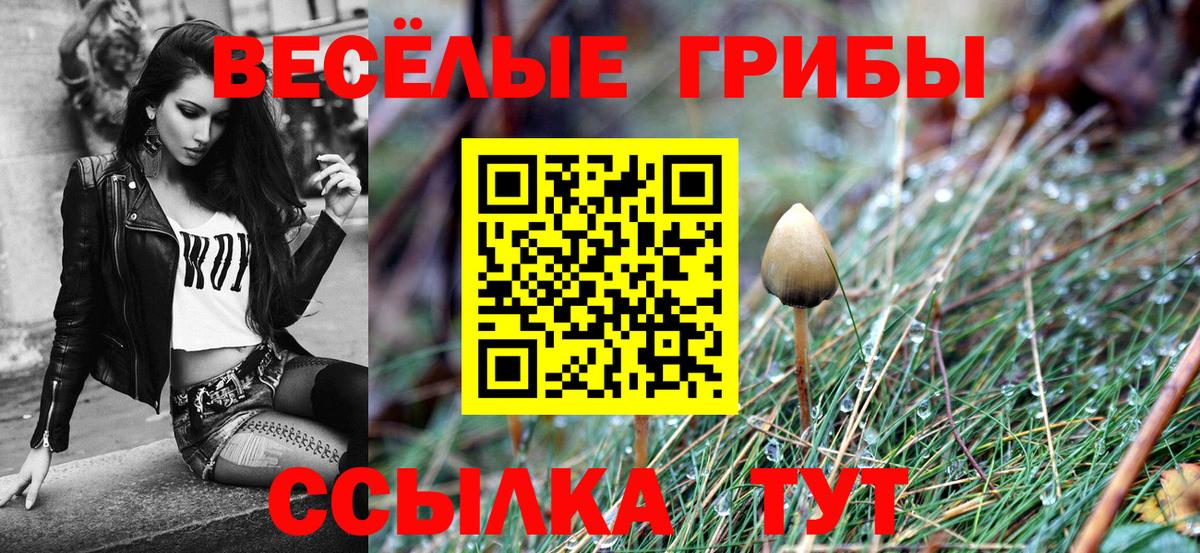 Псилоцибиновые грибы Magic Shrooms  Вход с VPN  Ангарск 